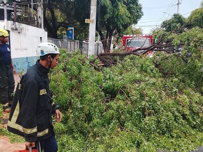 ADN despliega más de 1,100 brigadistas por efectos de vaguada