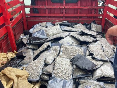 Decomisan 151 paquetes de marihuana sintética en Azua