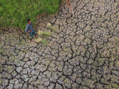 Degradación de tierras y su impacto en la economía y seguridad