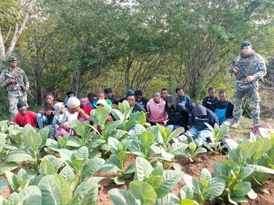 Detienen a 23 haitianos en zona boscosa de Dajabón