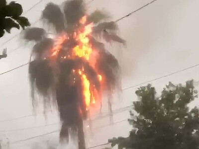 Impacto de rayo incendia palmera y provoca fuego en casa en La Vega