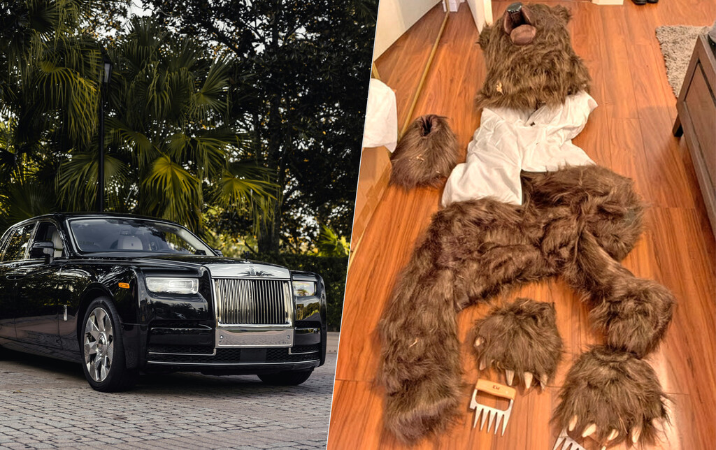 Ponerse un traje de oso para defraudar más de 141.000 dólares a un seguro de coche parecía creíble. Hasta que dejó de serlo