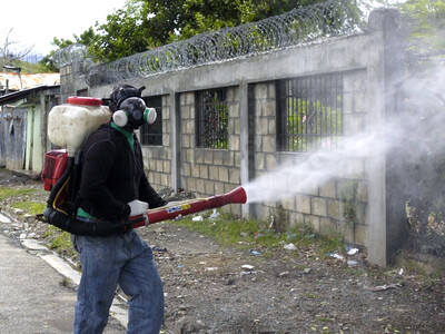 SP reporta cero casos de cólera, dengue, malaria y COVID-19