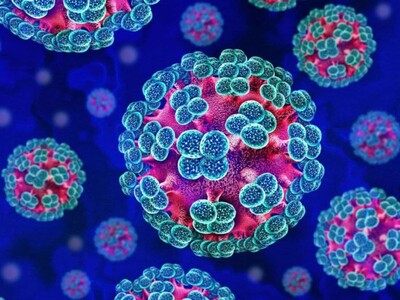 Brote de hantavirus en crucero: seis casos confirmados