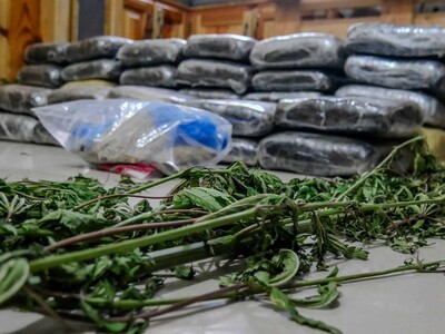 DNCD ocupa 133 paquetes de marihuana en el Puerto de Haina Oriental