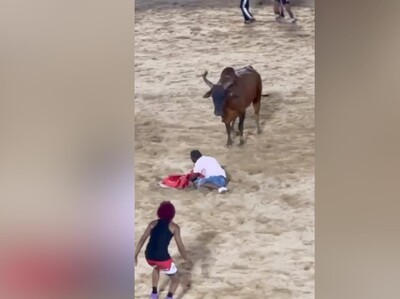 Hombre es embestido por un toro durante corridas en El Seibo