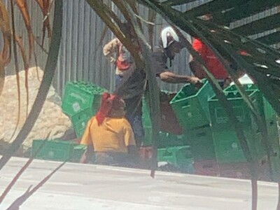 Patana cargada de cervezas se vuelca cerca de Plaza de la Bandera
