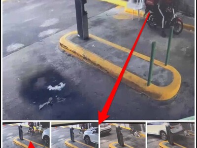 Policía apresa hombre por  agresión a actriz Luly Rocha