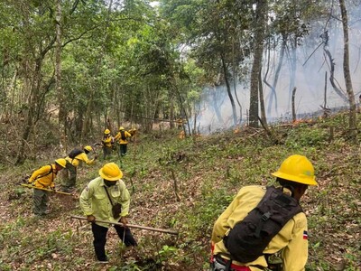 Autoridades reportan incendio forestal en Sierra de Bahoruco