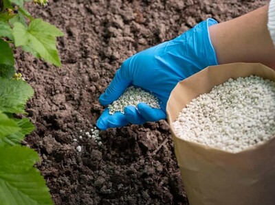 FAO alerta comercio de fertilizantes cayó 30%  guerra Oriente Medio