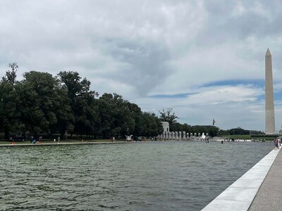 Limpieza del estanque en Washington tras vandalismo previo