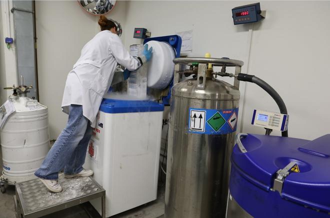 Ni Derecho ni ADE: las carreras con más empleo en España cuatro años después de graduarse
