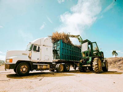Producción de azúcar en República Dominicana muestra recuperación
