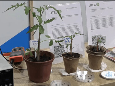 Uruguay desarrolla tecnología magnética para acelerar la germinación