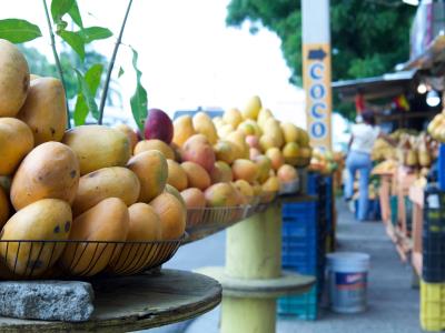 Agricultura adopta medidas para fortalecer exportaciones de mangos
