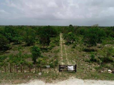 Caso del Aeropuerto de Bávaro es referencia de derecho