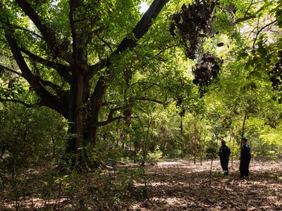 El parque Francisco Caamaño y su riqueza ecológica y cultural