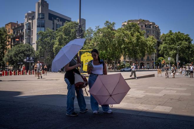 El verdadero coste de las olas de calor