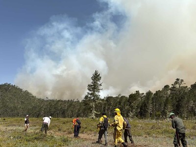 Incendio avanza sobre zona regenerada de Sierra de Bahoruco