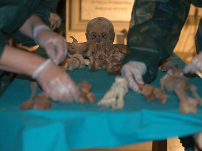 La genética reescribe misterio de muerte de Francisco de Medici