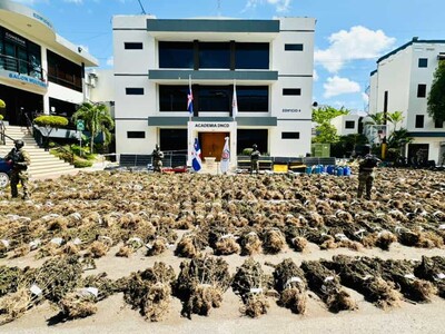 Liberan a tres hombres señalados en la plantación de marihuana en Ocoa