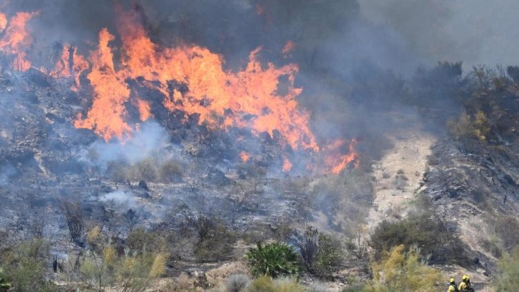 Obispo de Almería se une al dolor por trágico incendio en Bédar