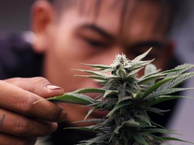 Aumento de casos de síndrome de hiperemesis por cannabis
