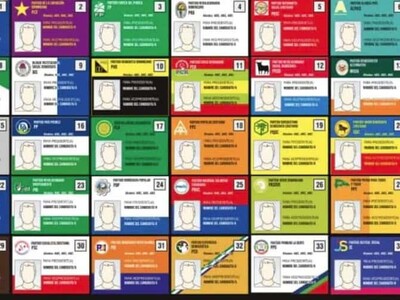 Financiamiento público para los partidos minoritarios en disputa