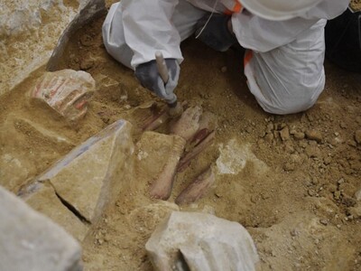Hallazgo de mujer embarazada de la Edad de Piedra en Gotland