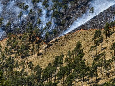 Incendio forestal en Valle Nuevo controlado tras 36 horas de labores