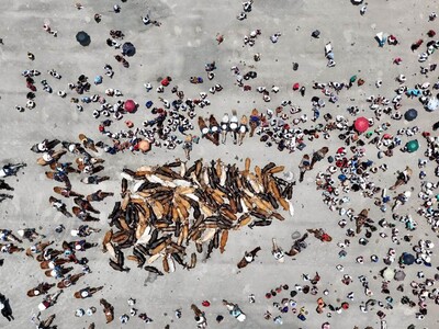 Los toros de la Virgen: siglos de fe, tradición y devoción popular