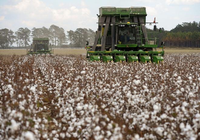 Mario, agricultor español viviendo en Australia: "Gano 1.800 euros a la semana"