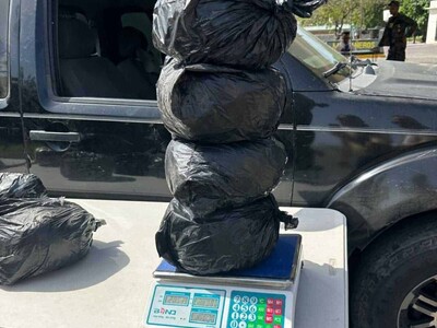 Operativo en Azua: decomisan 84 libras de marihuana por DNCD y ERD
