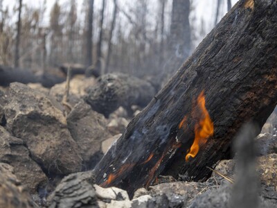 Segunda temporada alta de incendios arranca con récord