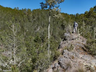 Dos hombres enfrentan prisión por devastar 30 tareas de tierra en Valle Nuevo