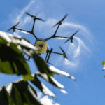 El sector agropecuario en República Dominicana demanda modernización y relevo generacional