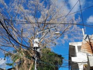 Vecinos de La Joya alertan sobre peligro de árbol seco que amenaza cables eléctricos