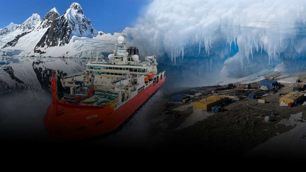 Ártico y Antártida pierden hielo: impacto en el nivel del mar