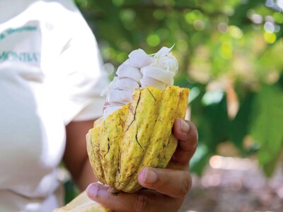 Cacao dominicano amplía su oferta con chocolates, bebidas y vinos