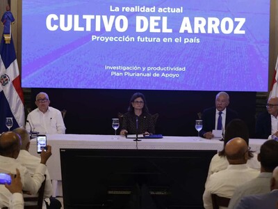 Gobierno anuncia medidas para el arroz ante presión del mercado estadounidense