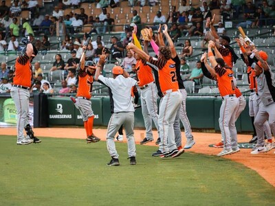 LIDOM: Toros, Águilas y Licey ganan en la pelota invernal dominicana