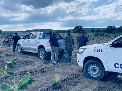Migración detecta cerca de 700 extranjeros irregulares en fincas